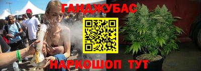 кокс Кингисепп