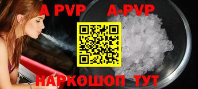 кокс Кингисепп