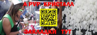 кокс Кингисепп