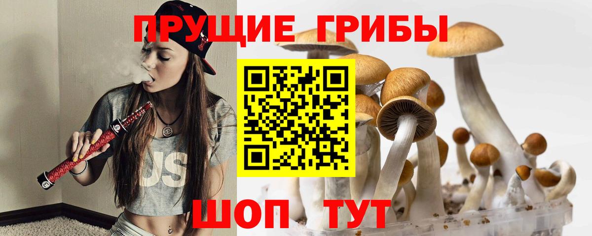 Галлюциногенные грибы MAGIC MUSHROOMS Волхов