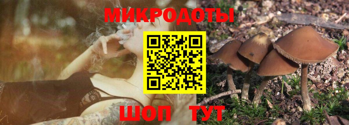 Волхов  Галлюциногенные грибы Magic Shrooms  Галлюциногенные грибы GOLDEN TEACHER  Вход с VPN 