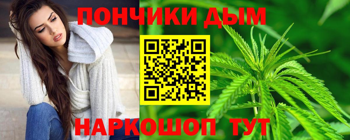 Бошки Шишки ГИДРОПОН  Шишки марихуана планчик  Волхов  Вход с VPN 
